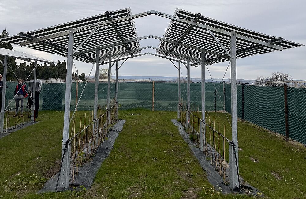 Příklad agrovoltaické FVE