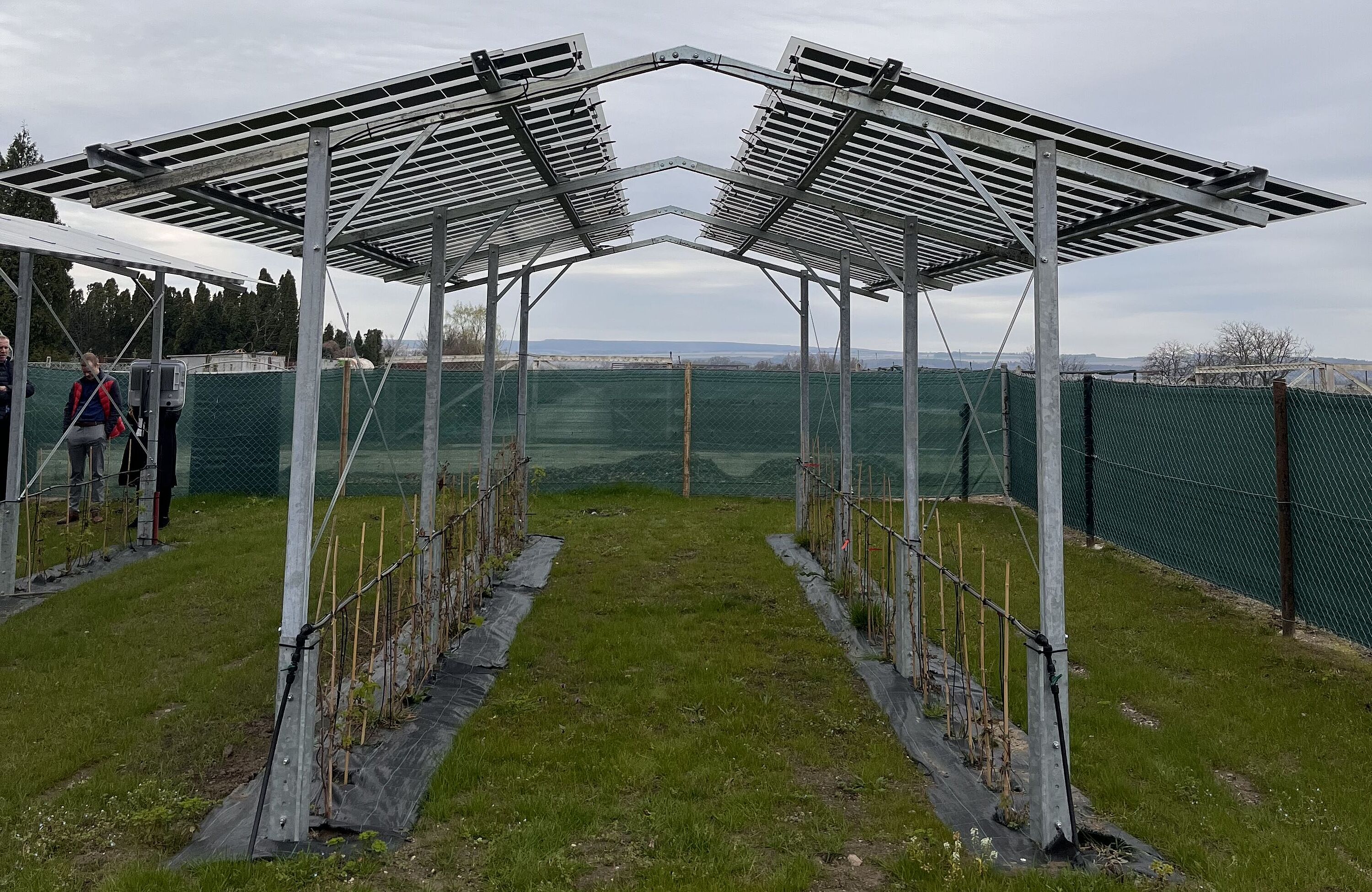Příklad agrovoltaické FVE Příklad agrovoltaické FVE